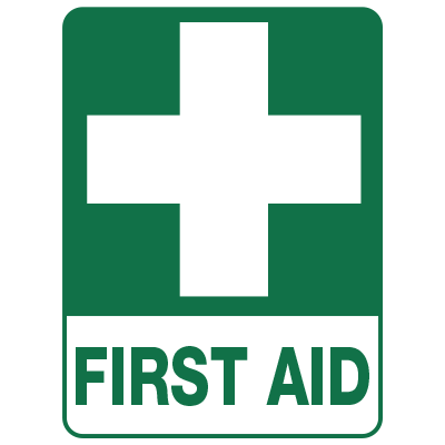 A FIRST AID COURSE (WRTING AND LANGUAGE FOCUS)