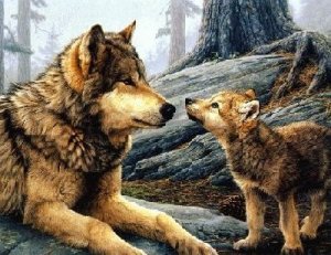 LITTLE WOLF AND MOTHER WOLF