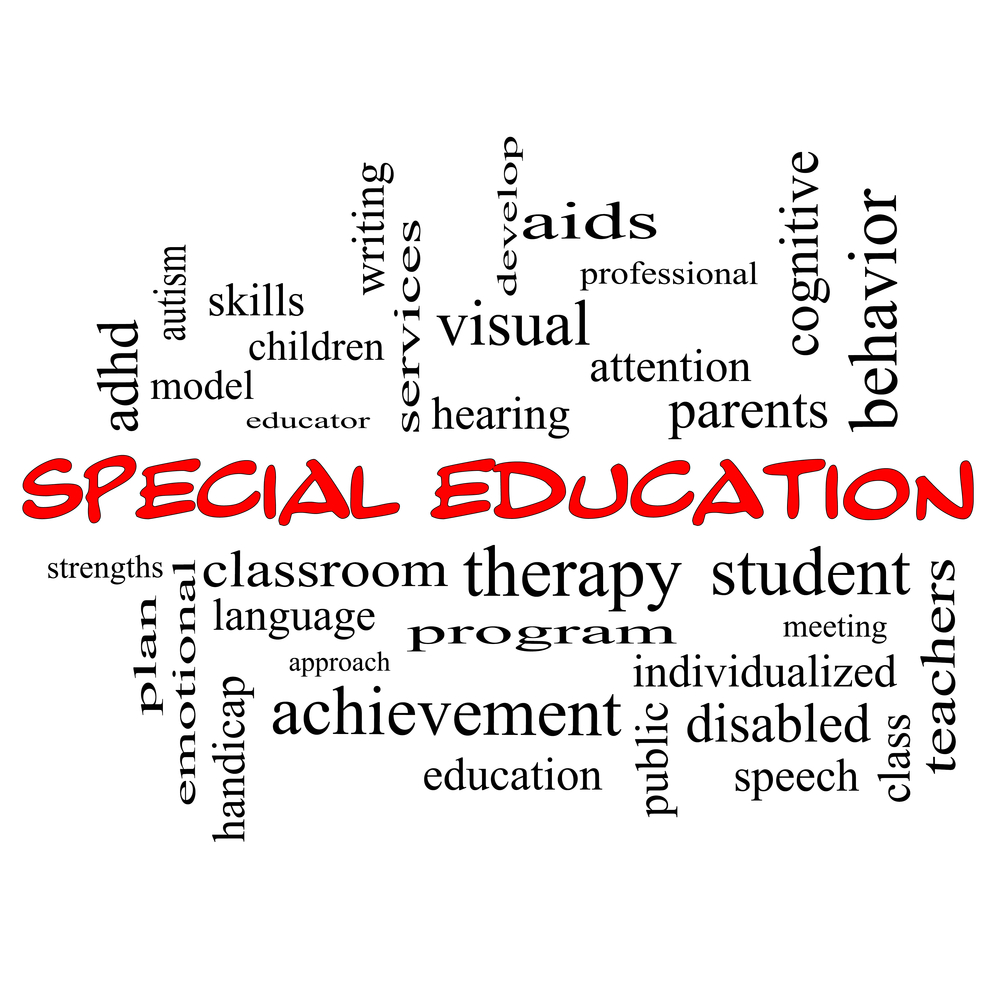SPECIAL EDUCATION - SPEAKING, LISTENING & LAN