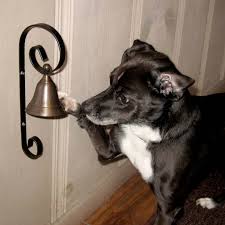 THE DOG’S BELL