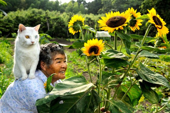 THE FARMER AND THE CATS